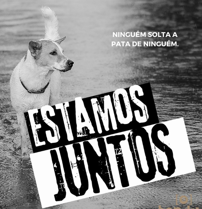 Amigos, preciso da ajuda de vocês. Vamos levantar grana pra ajudar quem está resgatando animais em Porto Alegre e região. Aquele esquema que vcs conhecem: eu recebo o PIX e repasso pras ONGs, prestando contas sempre por aqui. Doe qualquer valor para ajudeanimaisempoa@gmail.com