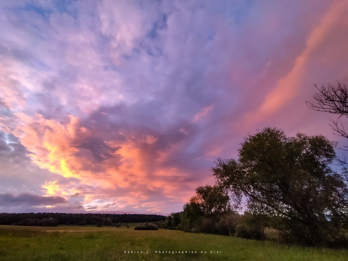 SabineL67's tweet photo. Après une journée grise et pluvieuse, le ciel c'est enflammé au coucher du Soleil hier soir !! 🔥🔥🔥
📷 #Birkenwald #Sommerau

#Alsce #BasRhin #Météo #Météo67 https://t.co/ZucGujMSyv