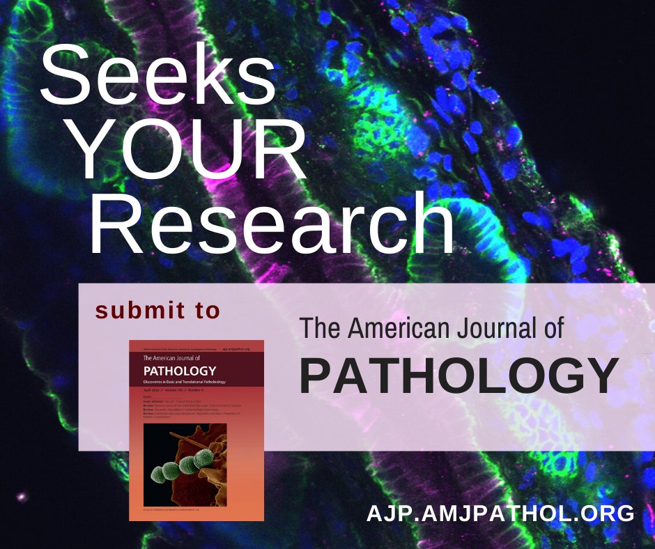 Send in your #pathogenesis discoveries for consideration today! @AJPathology seeks novel insights into the progression of disease. Submission is free! editorialmanager.com/ajpa/default2.…