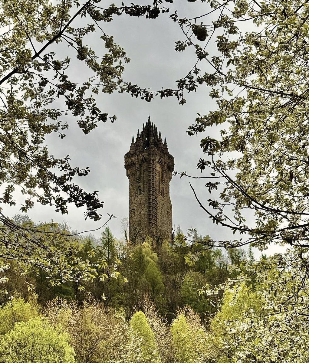 The beauty of spring in Stirling 🏴󠁧󠁢󠁳󠁣󠁴󠁿. You'll enjoy stunning views of the Monument from all around the city! 🍃 IG/maryram_d #VisitScotland