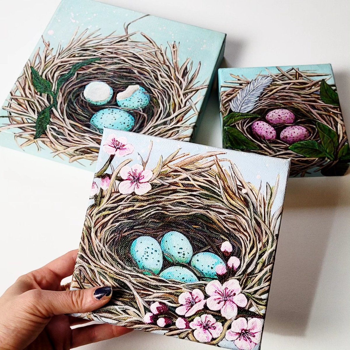 Acrylic Birds Nest Paintings 🪺 (Available) 
I love these three paintings separately and as a series! 
#birdsnest #birdwatching #birding #nest #spring #acrylicpainting #fineart