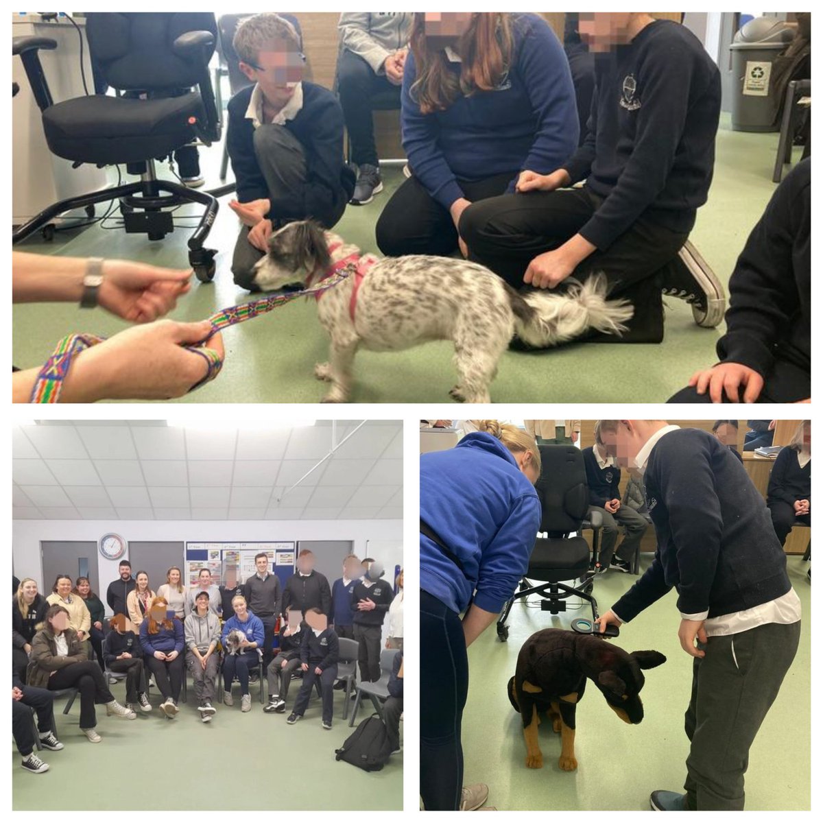 MADRA visited St Paul's Secondary #School, Oughterard #Galway 🌟

We spoke about responsible #dog ownership, dog welfare, safe dog handling and more as part of our Talking Dogs workshop. 🐾

The class held a bake sale fundraiser  too 👏💞

🙏Thank you St Paul's🙏
#AdoptDontShop
