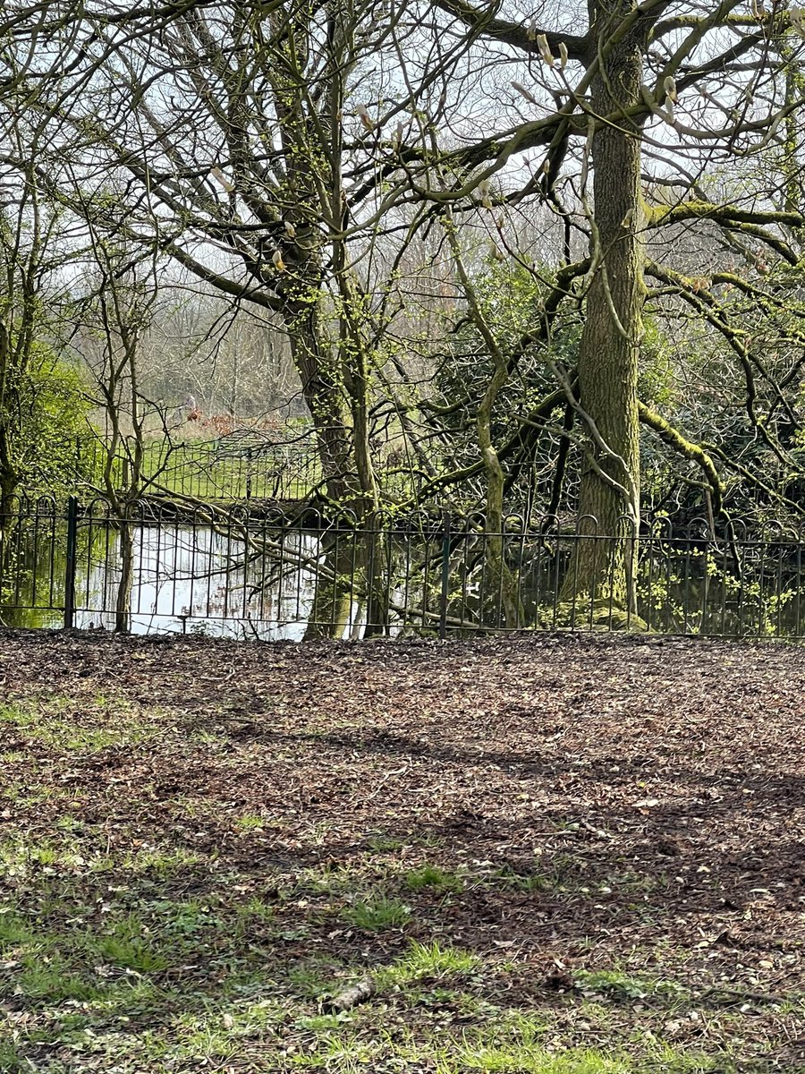 Everyone enjoyed the walking group today with AOP and the weather was lovely 😁 <a href="/PennineCareNHS/">Pennine Care NHS FT</a> <a href="/AntHassallNHS/">Anthonyhassallnhs</a> <a href="/heatherjean71/">heather mcclenaghan</a> <a href="/Michelledavisq/">Michelle Davis</a>