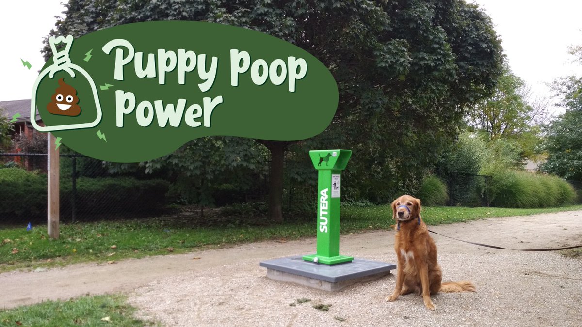 There are 35 #PuppyPoopPower units throughout Waterloo! Throw your dog's poop in one of these and it'll get converted into green energy - how cool is that? 🐕💩 Use this map to find the locations: bit.ly/424AkH7