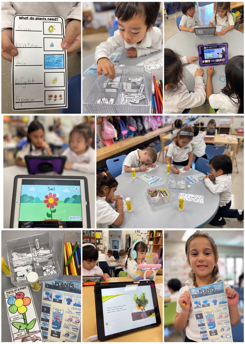 Ask us about our plant research brochure & using different resources to gather information.🎥📚💻👩🏼‍🌾 Spring Inquiry - Living things go through a process of growth. 🪴👀🔎📝 #books #videos #observations #experts #signs #BetterTogether❤️ @HTS_MsRanieri @HTSRichmondHill