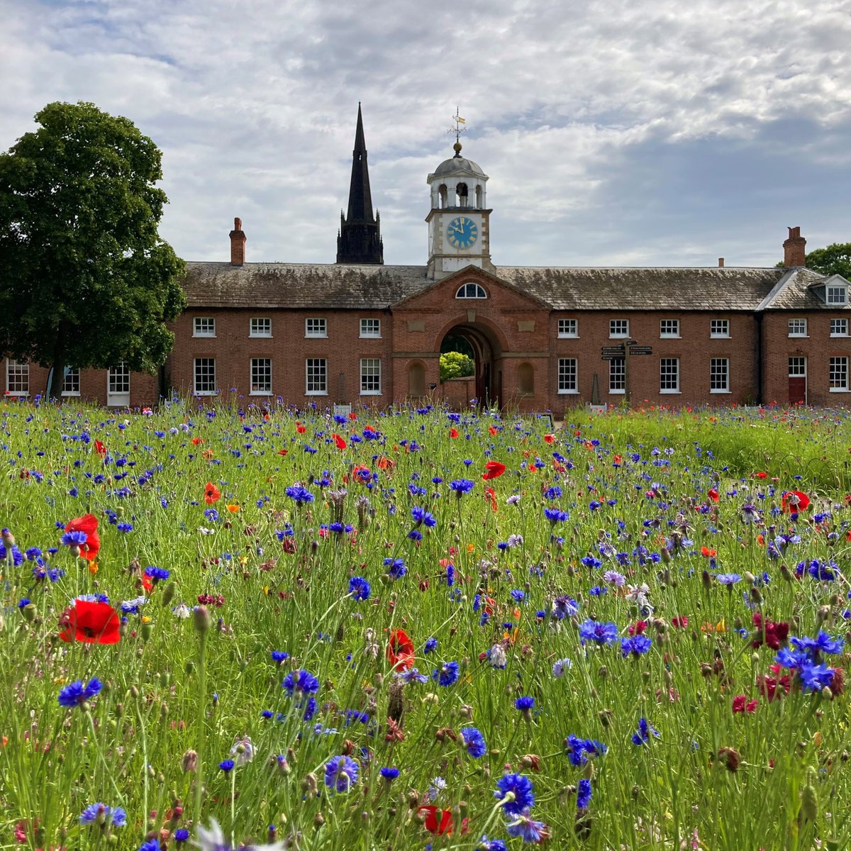 The Gardens team have been busy sowing this years wildflower meadow in the Turning Yard today. It'll provide a vital habitat for a huge array of wildlife and pollinators, and an eye-catching display of colour through to autumn. We expect it to flower mid-June #ClumberPark