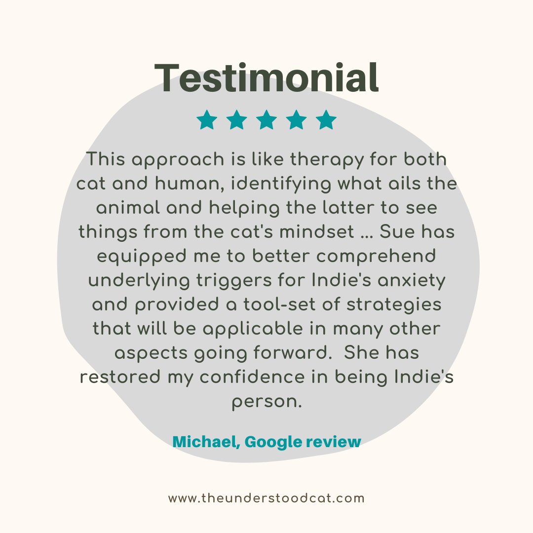 Lovely way to start the week, thank you to this wonderful client and their cat Indie, a joy to work with and help #cats #felines #catbehaviour #catbehaviourist #theunderstoodcat #catadvice #catwelfare #catwellbeing #clientreview #clienttestimonial