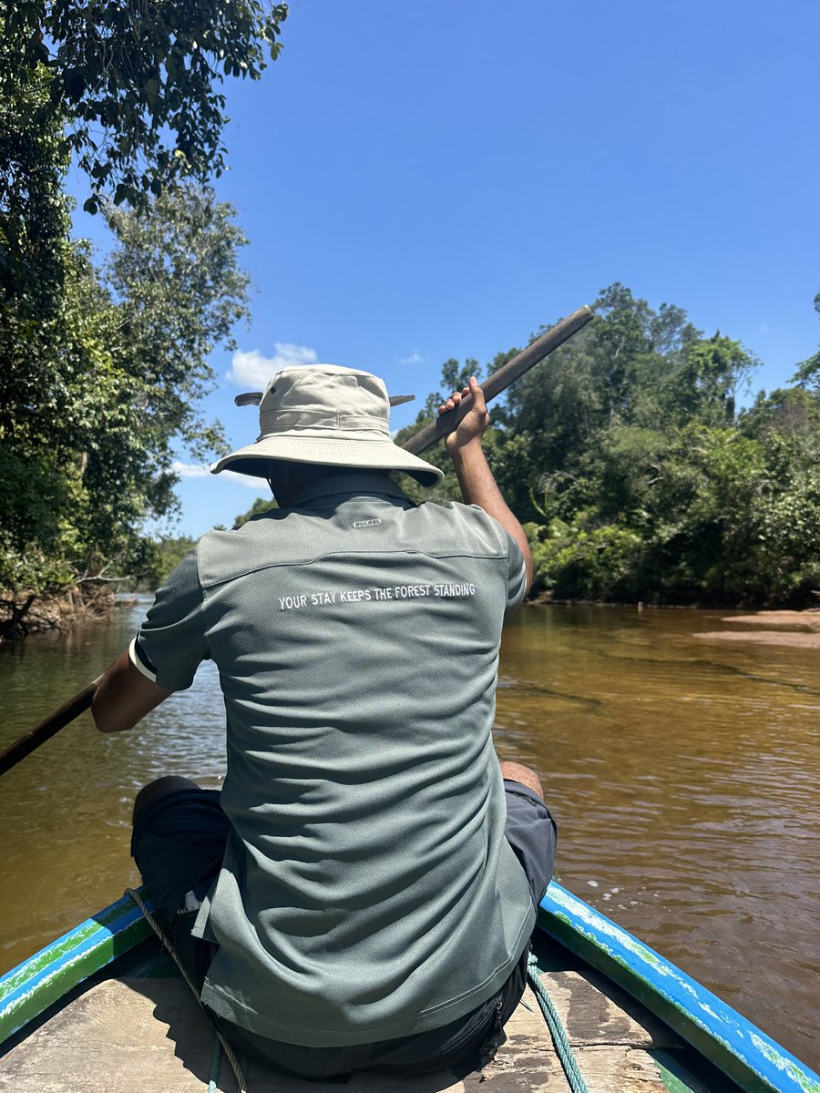 Alice Chamberlain tweet media