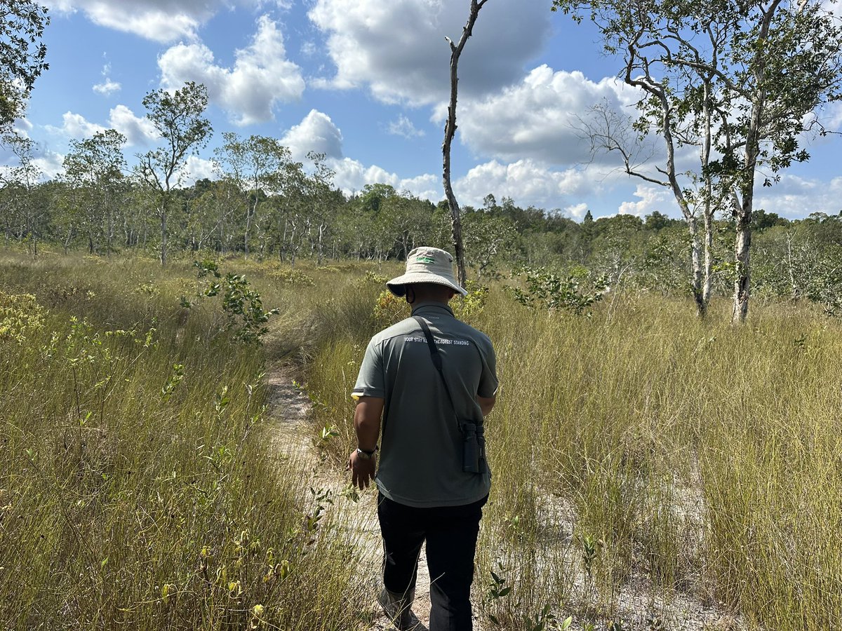 Alice Chamberlain tweet media