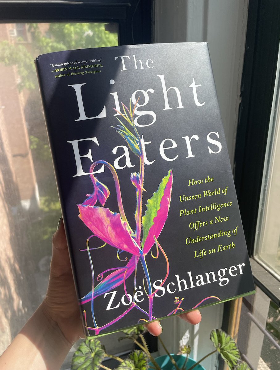 It's pub day for THE LIGHT EATERS. I feel so grateful to get to put this book out.