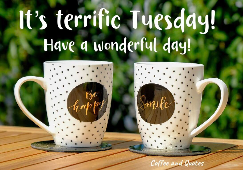 Happy Tuesday from Bailey Creek Apartments! Come in to see us and let us help you find your new home today!
#terrifictuesday #SAMapartmentmanagement
#BaileyCreekApartments