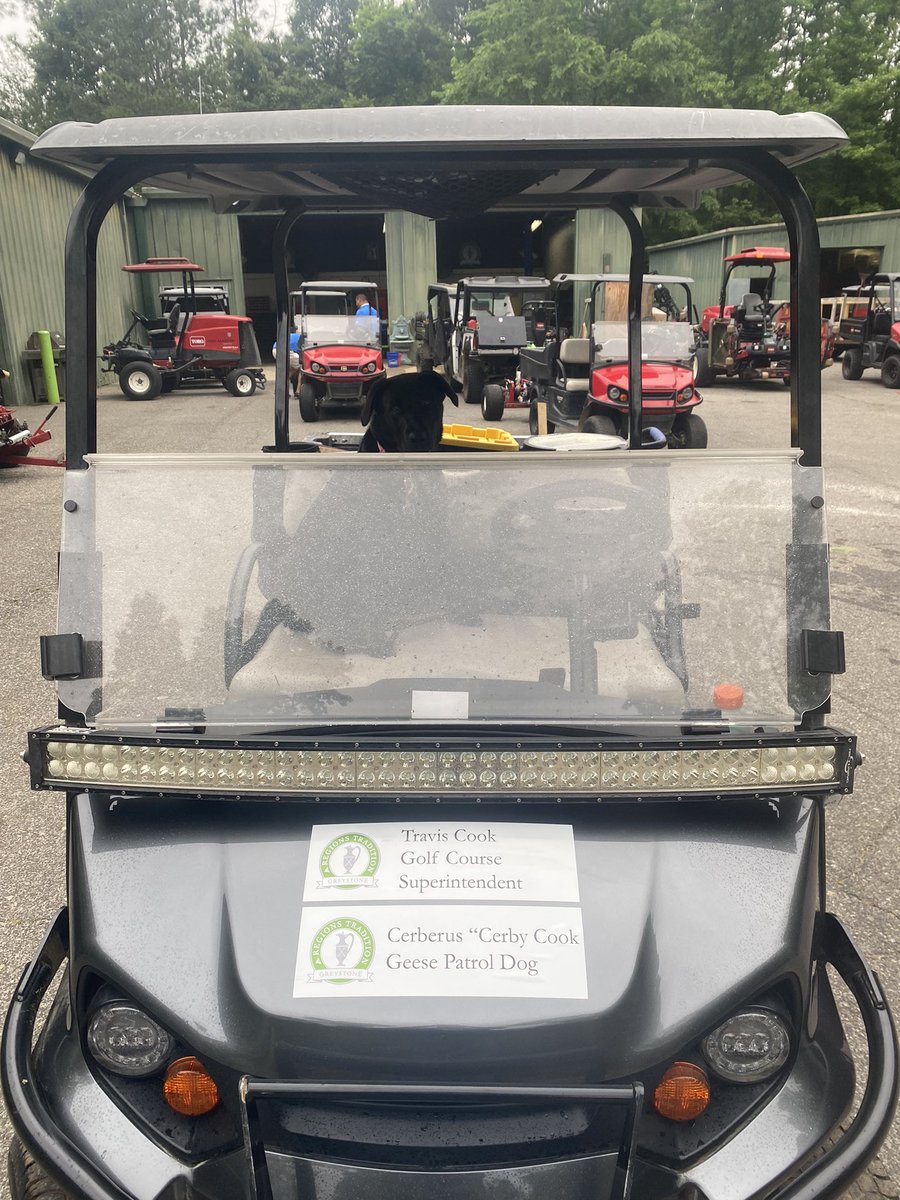 Travis Cook tweet media