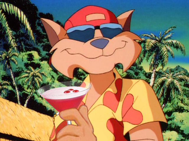 #CosmopolitanDay 🍸 #SWATKats