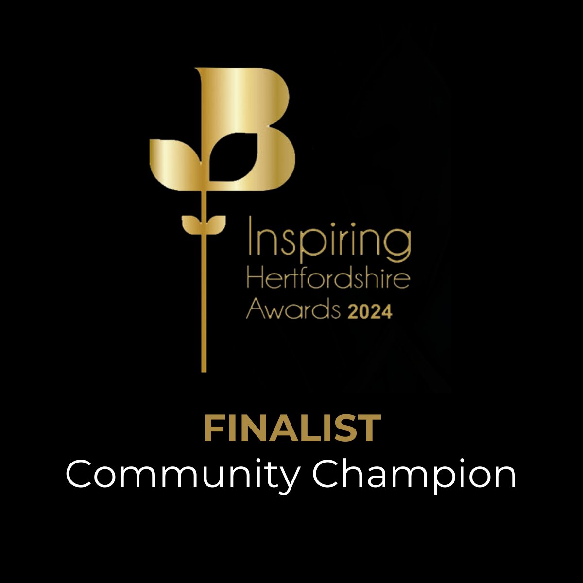 We are thrilled to announce that we are finalists in the @HertsChamber of Commerce @InspiringHerts 2024 Awards in the Community Champion category for our therapy ponies! 🥳🐴💙