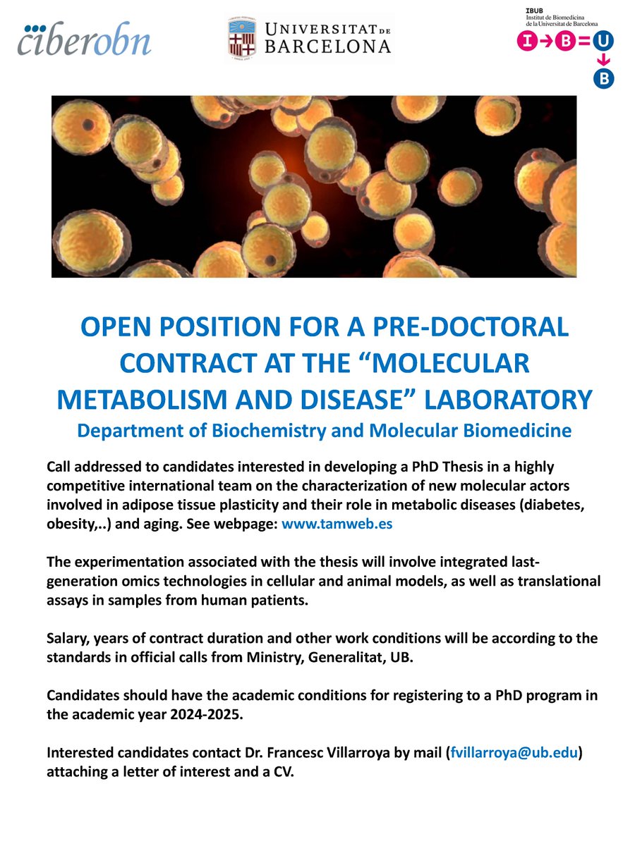 ➡️📌Open position for PhD thesis at our Molecular Metabolism and Disease lab tamweb.es @BQBiomedMolUB @IBUB_UB @BiologiaUB @IRSJD_info @CIBER_OBN @SEEDO_Research @MetNet_Bcn