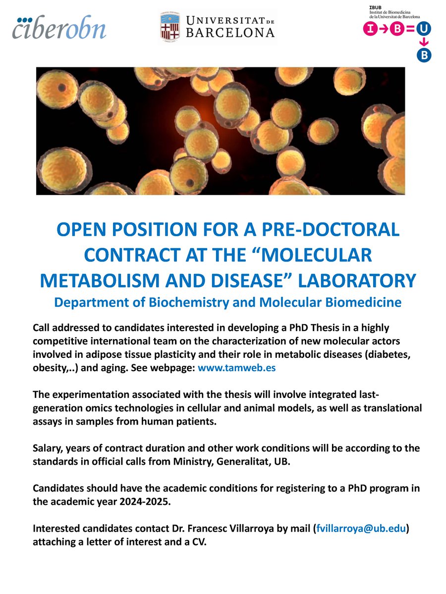 Marta Giralt (@martagiraltub) on Twitter photo ➡️📌Open position for PhD thesis at our Molecular Metabolism and Disease lab tamweb.es
<a href="/BQBiomedMolUB/">Biochemistry & Molecular Biomedicine UB</a> <a href="/IBUB_UB/">IBUB-UB</a> <a href="/BiologiaUB/">Facultat de Biologia UB</a> <a href="/IRSJD_info/">Institut de Recerca Sant Joan de Déu</a> <a href="/CIBER_OBN/">CIBEROBN</a> <a href="/SEEDO_Research/">SEEDO_Translational Research</a>
<a href="/MetNet_Bcn/">MetNet</a> ➡️📌Open position for PhD thesis at our Molecular Metabolism and Disease lab tamweb.es
<a href="/BQBiomedMolUB/">Biochemistry & Molecular Biomedicine UB</a> <a href="/IBUB_UB/">IBUB-UB</a> <a href="/BiologiaUB/">Facultat de Biologia UB</a> <a href="/IRSJD_info/">Institut de Recerca Sant Joan de Déu</a> <a href="/CIBER_OBN/">CIBEROBN</a> <a href="/SEEDO_Research/">SEEDO_Translational Research</a>
<a href="/MetNet_Bcn/">MetNet</a>