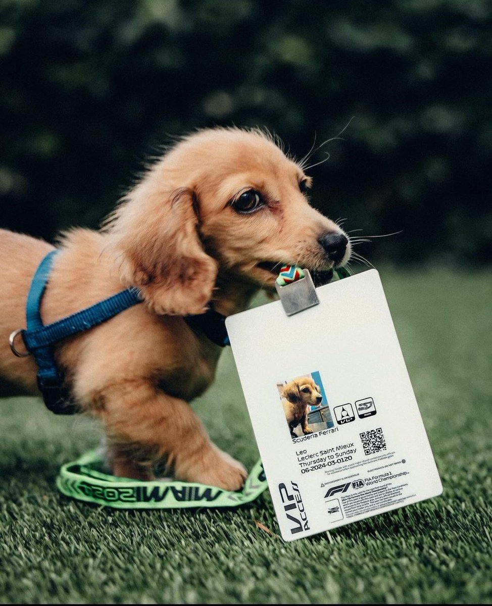 LEO HAS HIS OWN PADDOCK PASS 😭😭😭😭😭