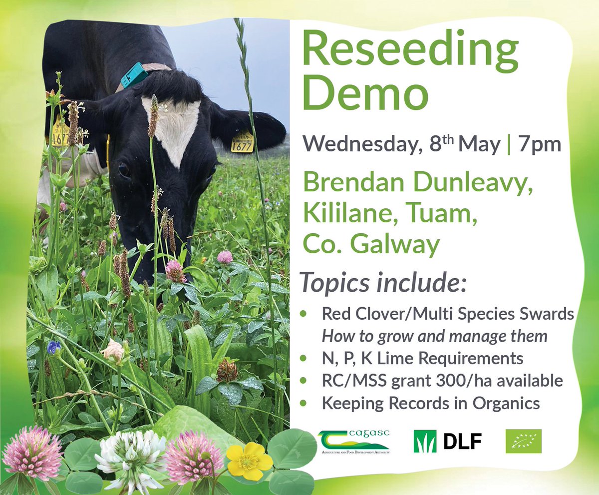 Join us tomorrow, 8th May at 7pm for a Reseeding Demo on the farm of Brendan Dunleavy, Kililane, Tuam, Co. Galway. Topics include RC/MSS grant 300/ha available. Find out more bit.ly/4bhGaYW @DLF_IRL @TeagascOrganics