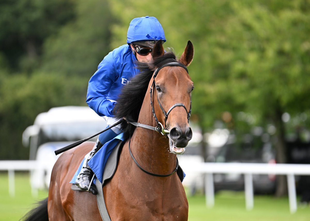 41 horses remain entered for next month's @EpsomRacecourse Betfred Derby 🏆 Arabian Crown and City Of Troy are amongst them 🙌