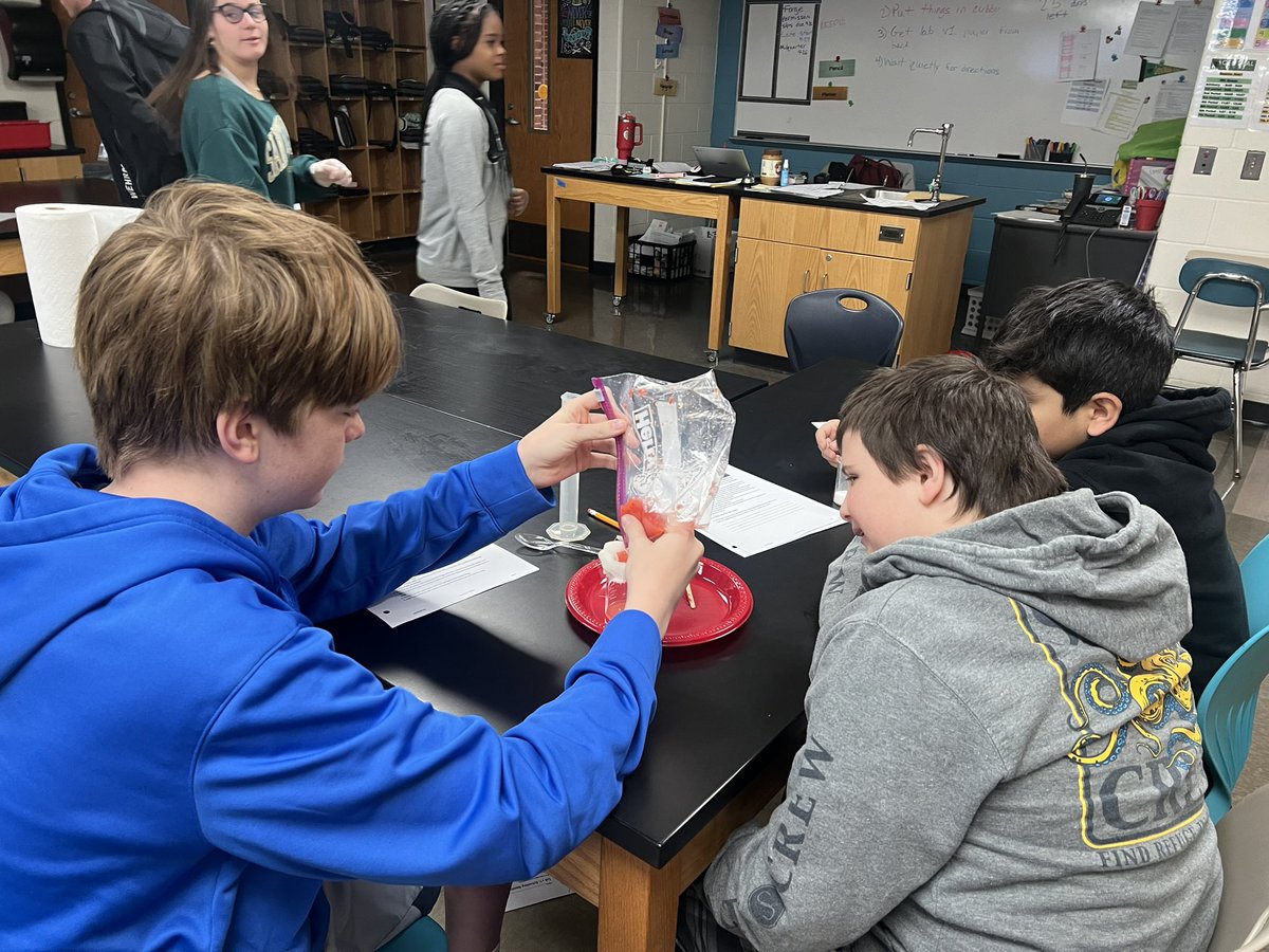Do strawberries have genetic material? These 8th graders conducted a scientific experiment with hypotheses, tests, and lots of conversation! #BeEvergreen