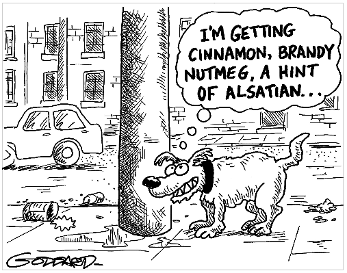 If you see this , post a dog #pets #dogs #dogart #petportraits #cartoons @procartoonists
