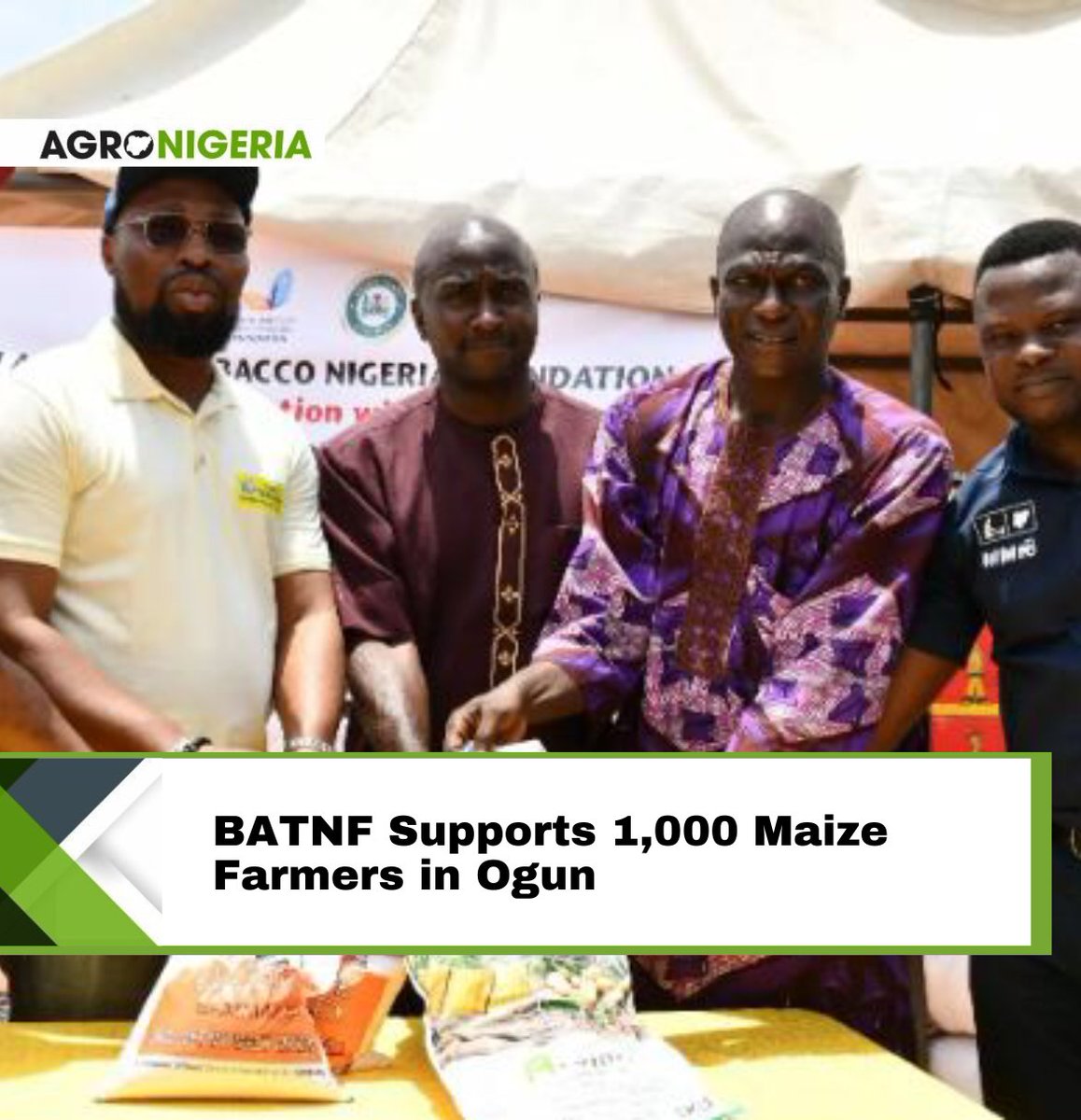 The British American Tobacco Foundation in collaboration with the Ogun State Ministry of Agriculture has empowered over 1,000 farmers in Ogun State through its Maize Empowerment Project. Read more: agronigeria.ng/batnf-supports…