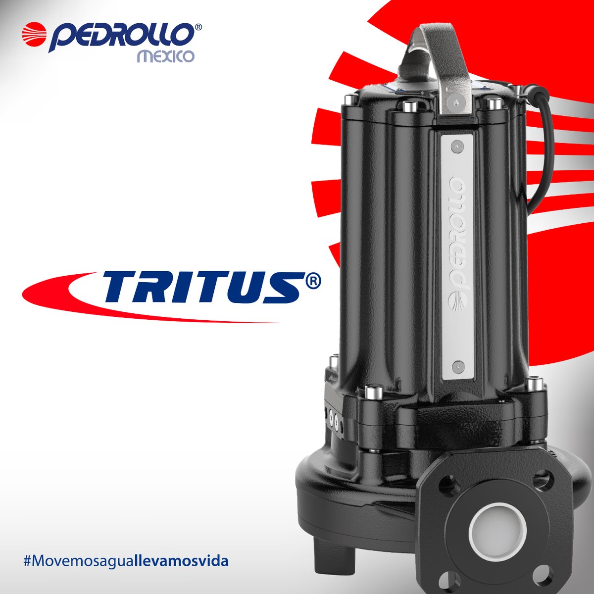 Descubre las ventajas de nuestras TRITUS, equipadas con un triturador de acero inoxidable templado de alta resistencia.

Conoce más en:
💻 bit.ly/2SSjzj5

#Pedrollo #Electrobombatrituradora #trituradora #bombadeagua