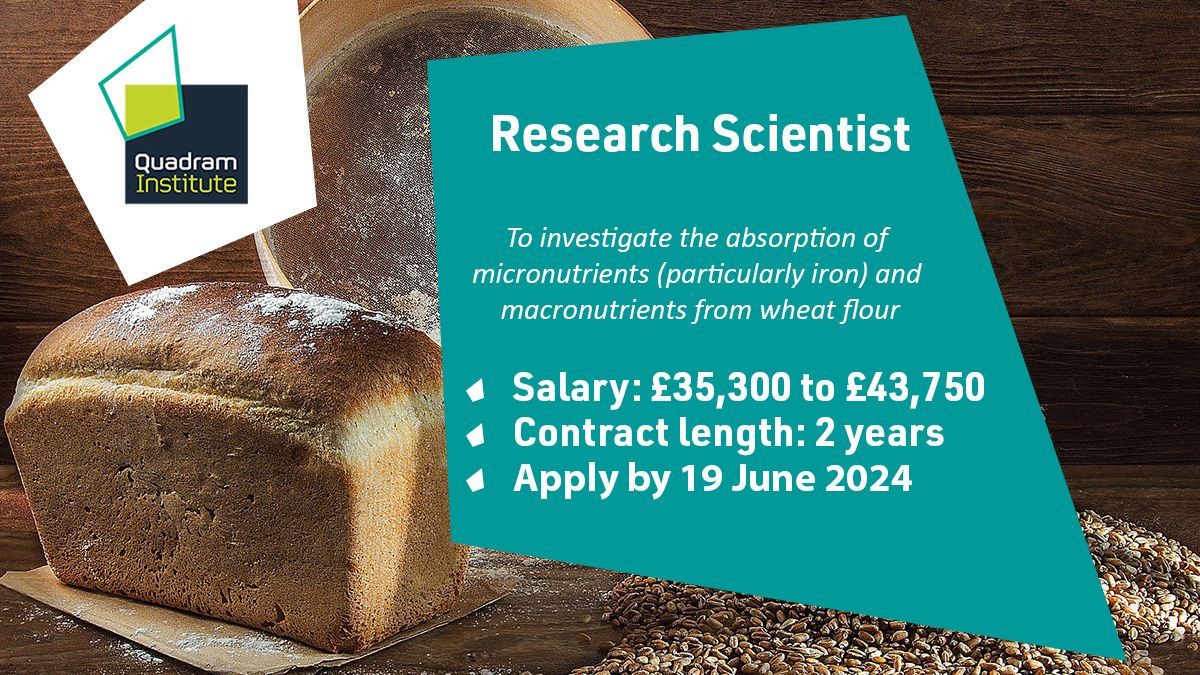 🆕Vacancy! We're looking for a Postdoctoral Research Scientist to investigate the absorption of micronutrients (particularly iron) from wheat flour 🌾 💷 £35,300 to £43,750 🗓️ Apply by 19 June 2024 ➡️ buff.ly/4dsiYcy