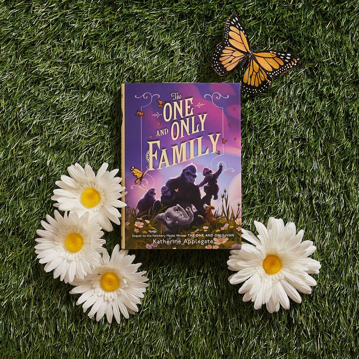 It's time for one last adventure with Ivan and his friends... 🦍🐕🐘 THE ONE AND ONLY FAMILY is out today. I treasured spending more time with these characters. If you get a chance to read it, I hope you do, too. ❤️ @HarperChildrens #mglit