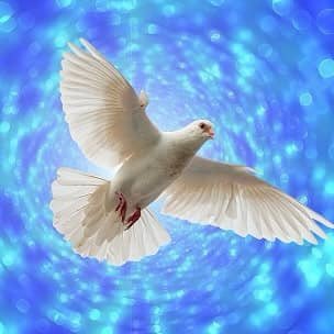 „Niemand, der bei Verstand ist, zieht den Krieg dem Frieden vor; denn in diesem begraben die Söhne ihre Väter, in jenem die Väter ihre Söhne.“