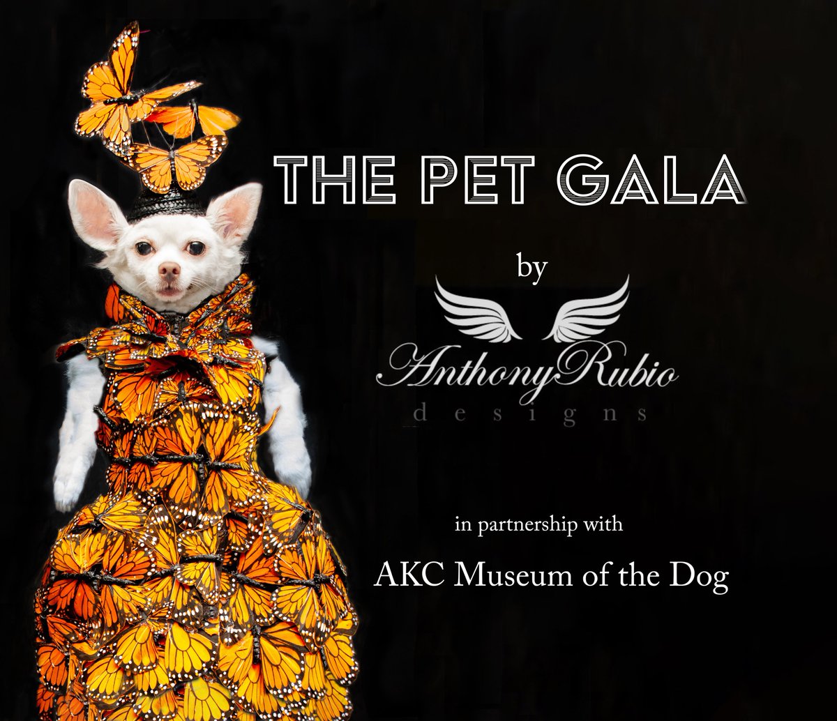 Did you loved The Met Gala?  The Pet Gala by Anthony Rubio is 2 weeks away.

Recreations of The #MetGala  celebrity garments for Dogs.  

Link: caninecouturebook.com/store/the-pet-…

#MetGala #petgala #MetBall #WeeklyWoof #PetFashion #DogFashion