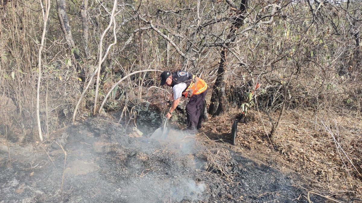 TlalpanAl's tweet photo. ⚠️#Atención 

Ante el reporte de un incendio ubicado al interior del 🌳Bosque de #Tlalpan informamos que personal de 🦺#ProtecciónCivil de la Alcaldía, 🚒 @Bomberos_CDMX y 🪓@Corenadr controlaron la emergencia.

✅Seguimos al pendiente. https://t.co/r1Em21WWrW