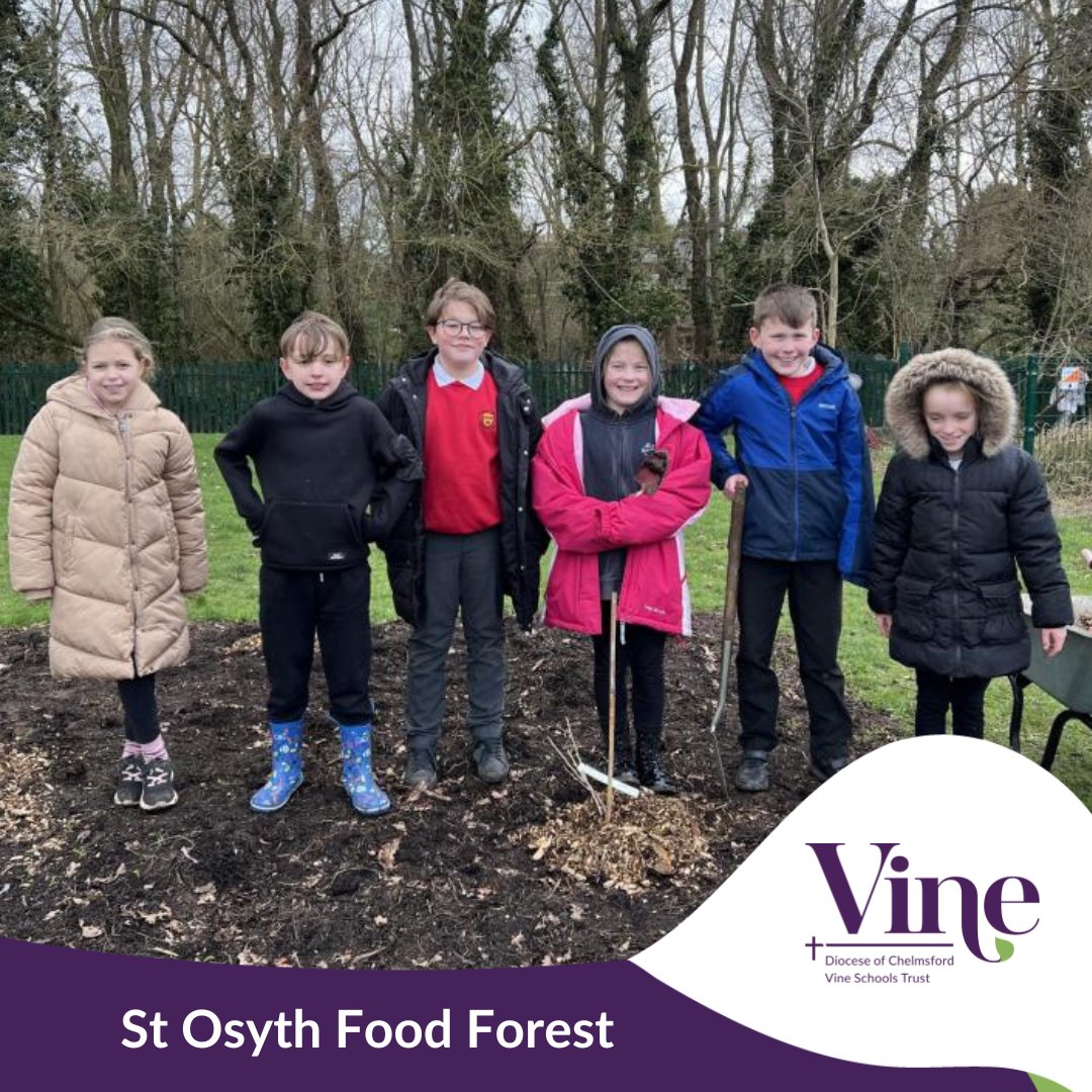 We're very proud of the pupils at St Osyth C of E Primary School who have recently planted 100 square metres of #FoodForest. 👏

Fil Carvalho, teacher at St Osyth, said: “We’re looking forward to seeing the children grow alongside the trees.” 🌳