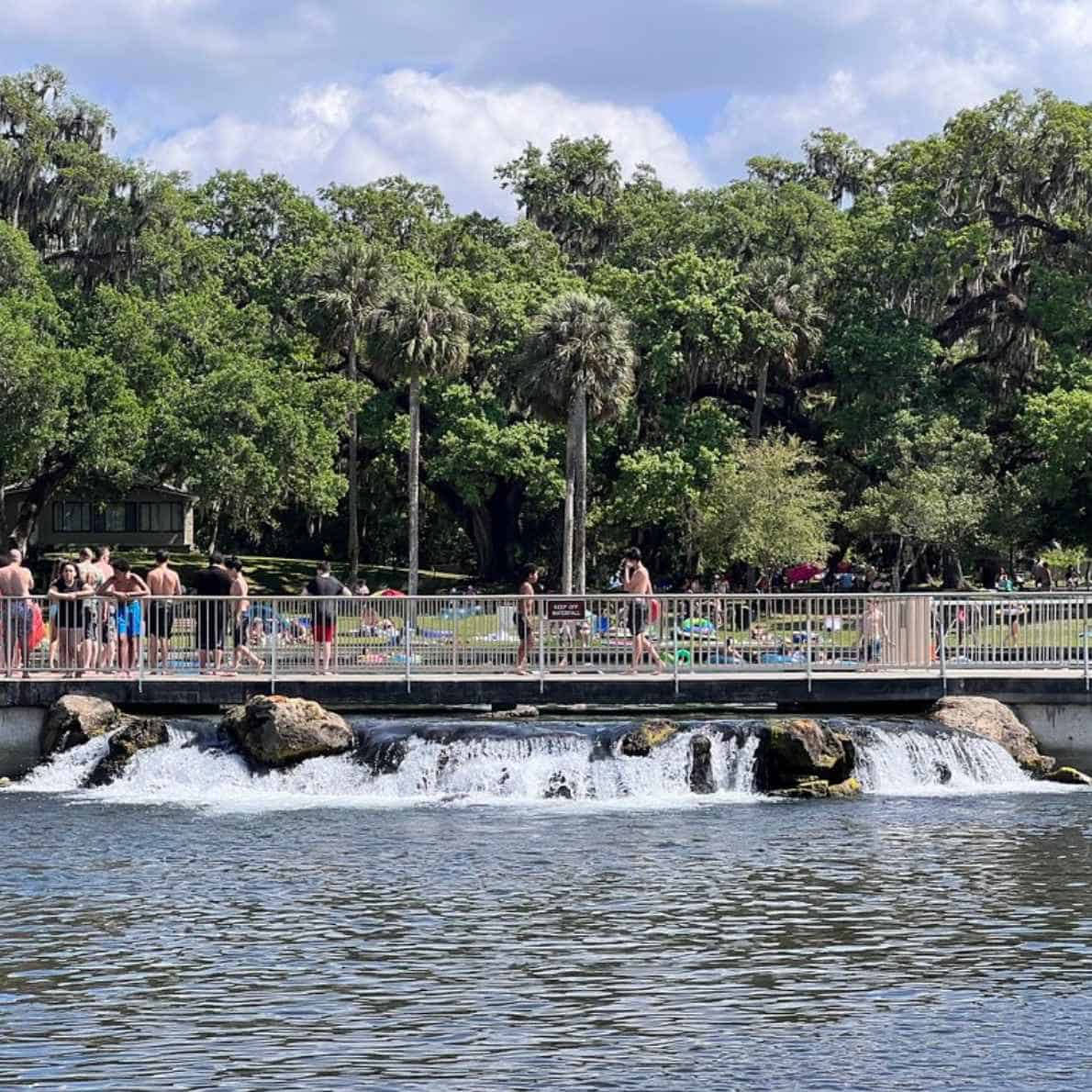 Before you visit De Leon Springs State Park, get the inside scoop by reading this guide by @walkandpaddle!
walkandpaddle.com/embrace-the-ou…

#visitwestvolusia #flstateparks #lovefl #deleonsprings