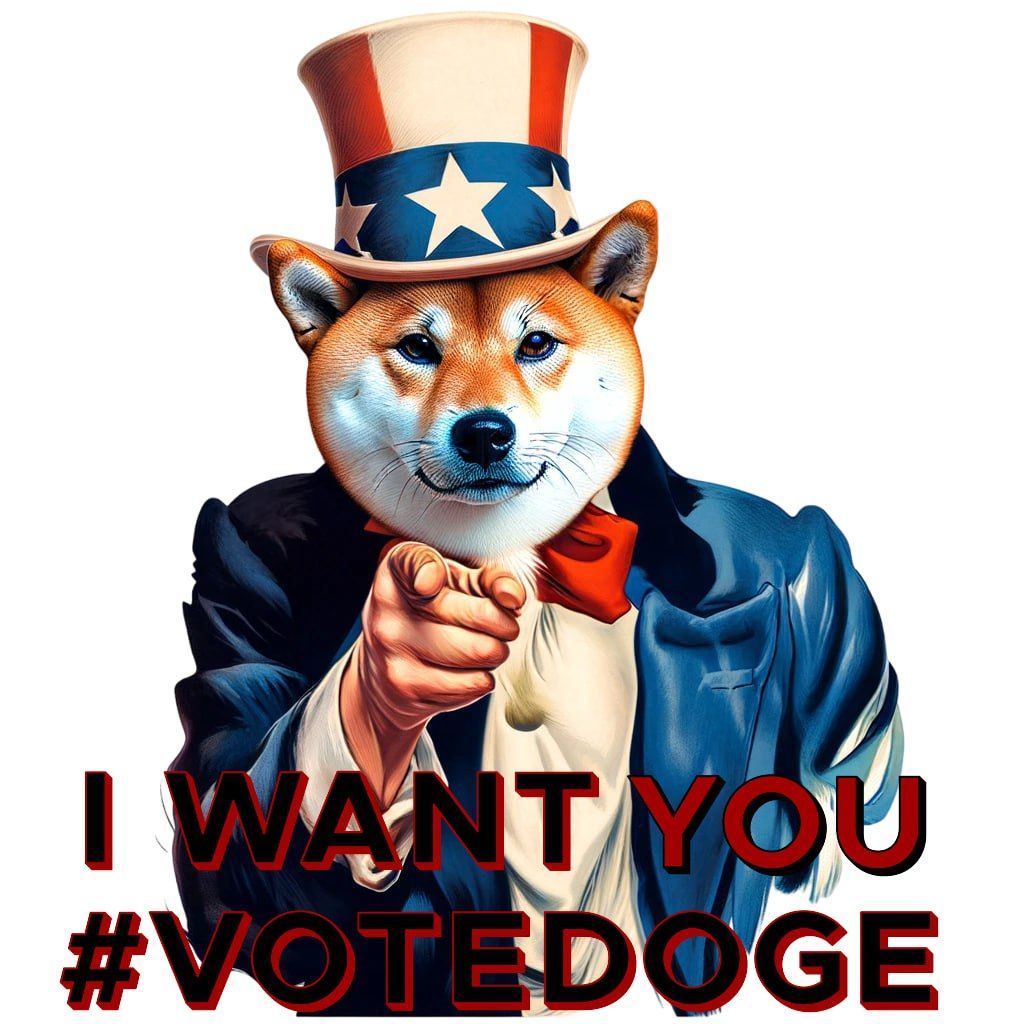 rakso_crypto's tweet photo. Driving through LA or Miami this week? Look out for our VoteDoge billboards and be part of our growing community every day until November! ๐ฆ๐ถ #VoteDoge #RoadToNovember https://t.co/s20tZAHkCL