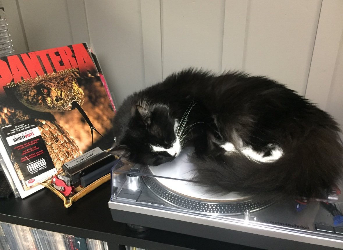 Happy Birthday to TGSTK…..I vividly remember this dropping towards the end of my Jr yr in HS. Just a brutal ass-kicking album. Floods to me is the highlight. Also I was quite impressed that my cat Socks could sleep while this was playing😂