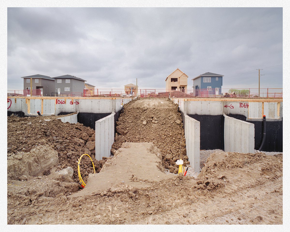 Neighbourhood Flux.

📷 Mamiya 7
📷 Kodak Gold 200

#filmphotography #noticemag #alberta #believeinfilm #shotsofnothing