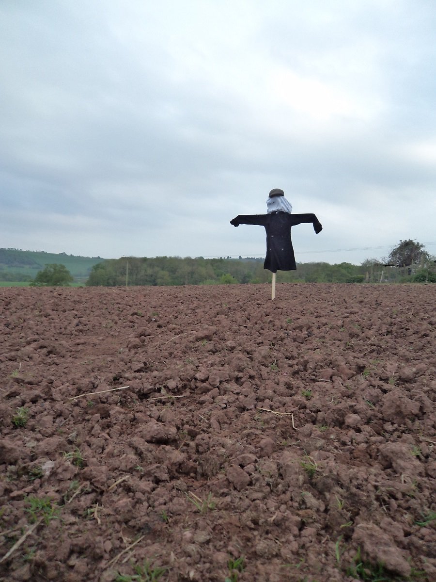 It's scarecrow season. I don't want to boast, but this, THIS is what you call a scarecrow #farming