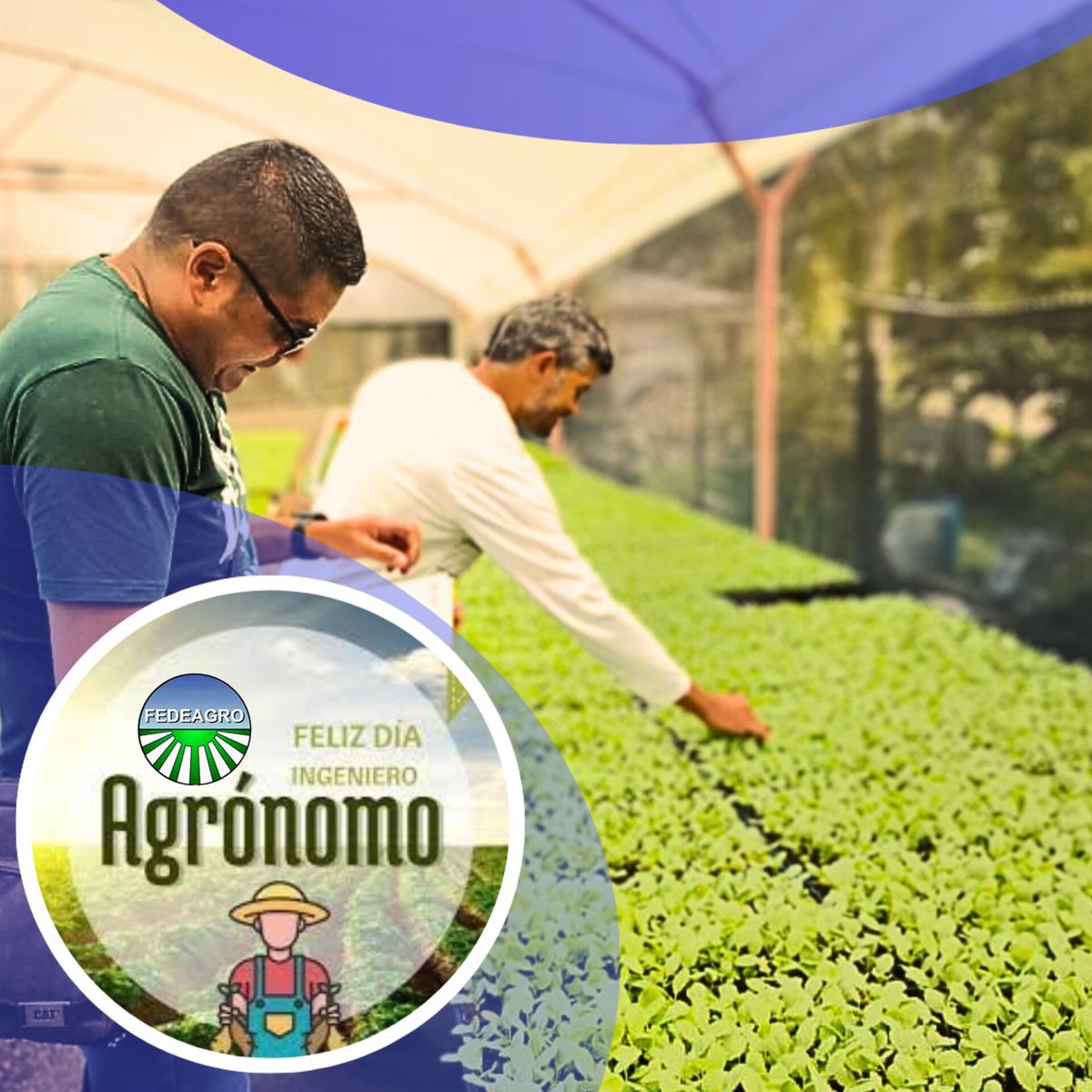 Desde Fedeagro, felicitamos a todos los Ingenieron Agrónomos en su día! Profesionales comprometidos con la Agricultura de nuestro país 🌾🌱👨‍🌾