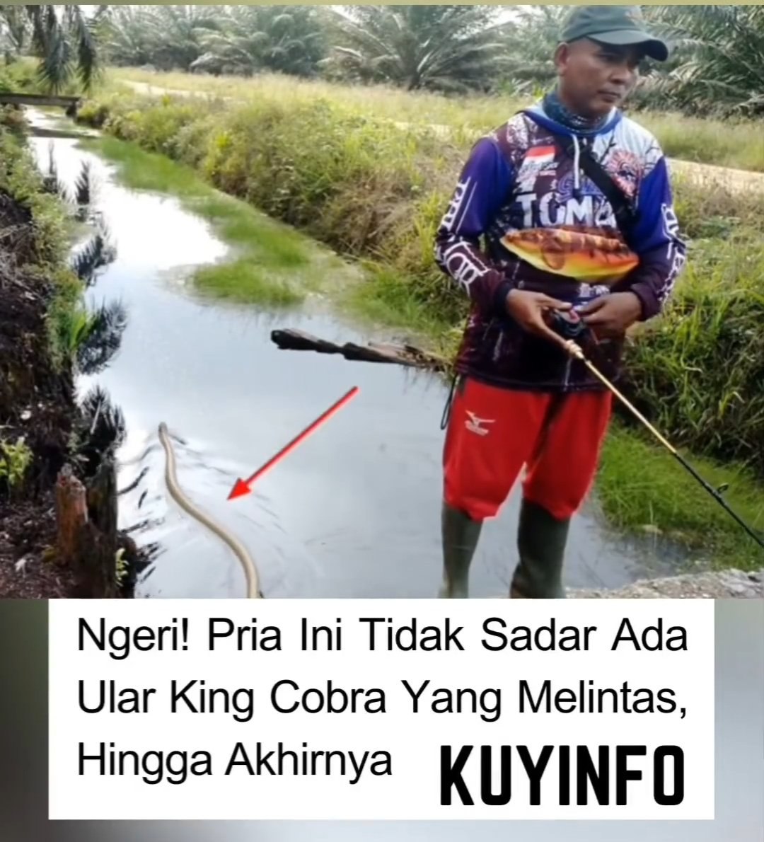 Asik mancing bapak ini ga sadar dalam bahaya!

A Thread