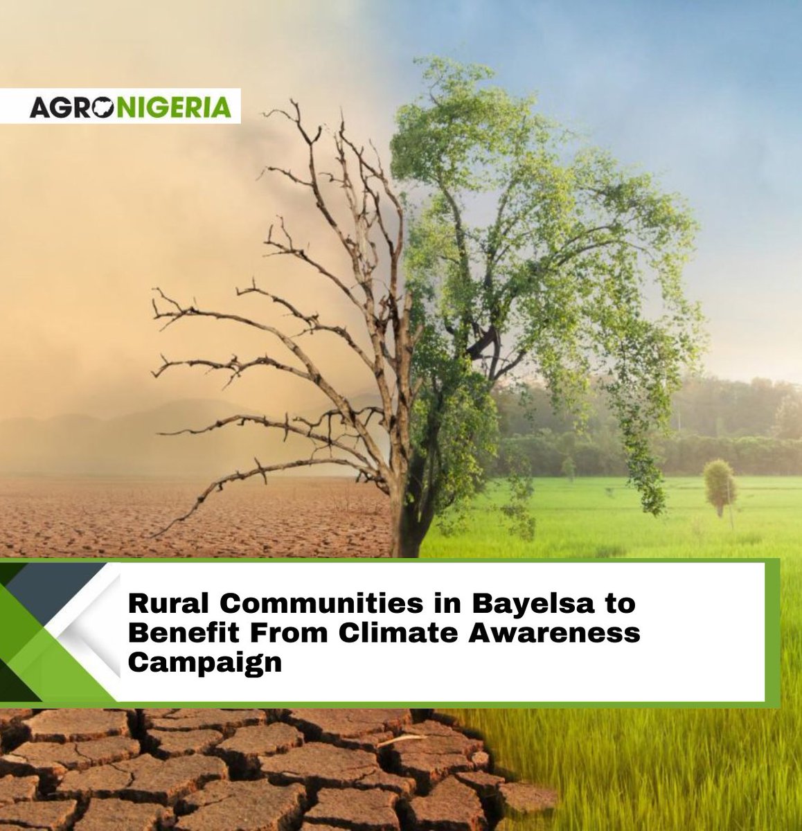 The Danish government, in collaboration with Academic Associates PeaceWorks (AAPW), is set to extend climate change awareness to rural communities in Bayelsa State, aiming to address environmental challenges and increase economic...Read more: agronigeria.ng/rural-communit…