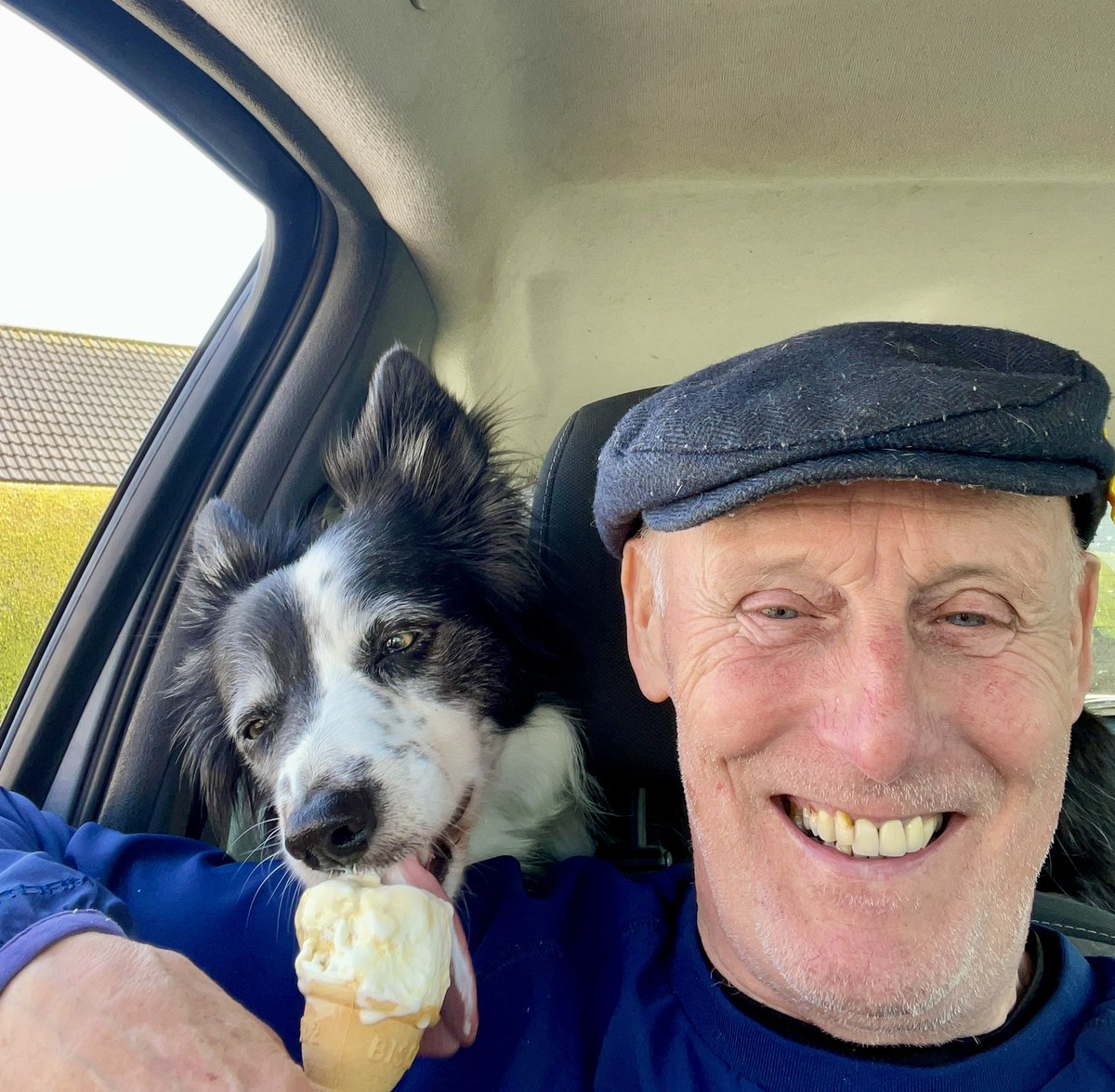 Note to self “When you’re chilling in the carpark of the Rinkha, pay close attention to your ice cream at all times” Ice cream theft is on the increase.. 😉❤️@BorderCollieUK @HartCollie @dog_rates @WeatherCee @FilthyDoggie @TweeetsOfDogs @CoraTheWhippet