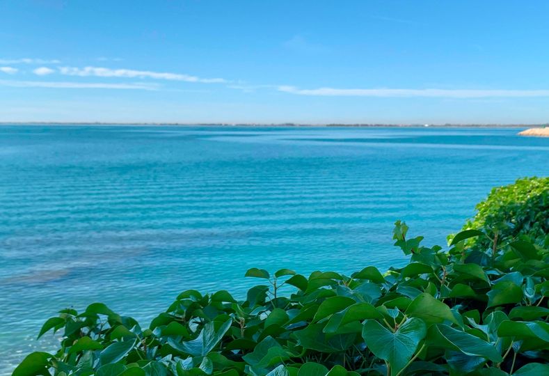 Bon dia!! 💙 Un matí de dissabte idílic: sol radiant i mar blau tranquil. Perfecte per relaxar-se, banyar-se o passejar per la costa. + info: bit.ly/3v73t3M #lAmpolla #TerresdelEbre #ReservadelaBiosfoera #inLOVEwithCatalonia @catexperience @terresebretur