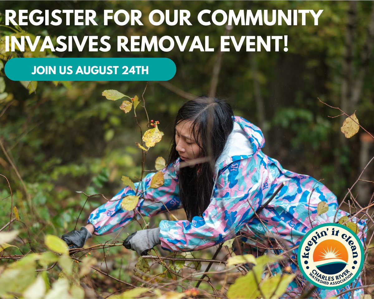 Roll up your sleeves and put on your best outdoor shoes 🥾Invasives season is here! This summer, CRWA is gearing up for 3 Community Invasive removal events focusing on Bittersweet and Water Chestnut! 🌿

Registration is now live! 

🔗 Visit crwa.org/events to register.