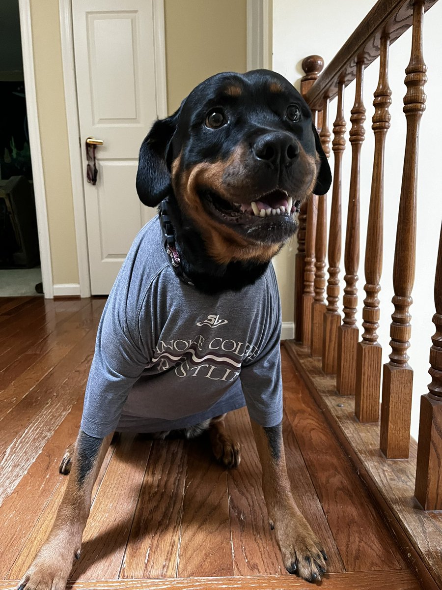 Letty Wanted to wear my shirt today. Let’s just say she’s on the good guys side. Day 7 of #WrestlingShirtADayinMay @NokeWrestling