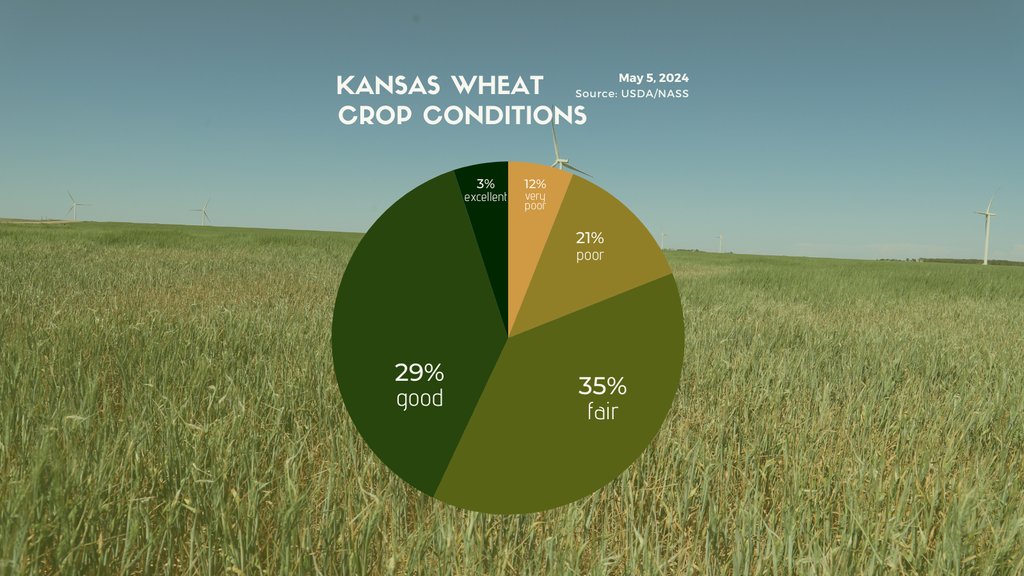 Winter wheat condition rated 12% very poor, 21% poor, 35% fair, 29% 
good, and 3% excellent. According to @usda_nass.