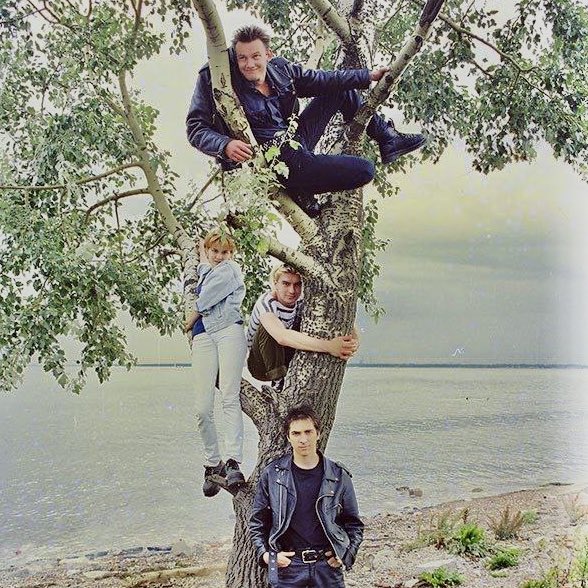 Друзья, когда к заливу по деревьям лазить?