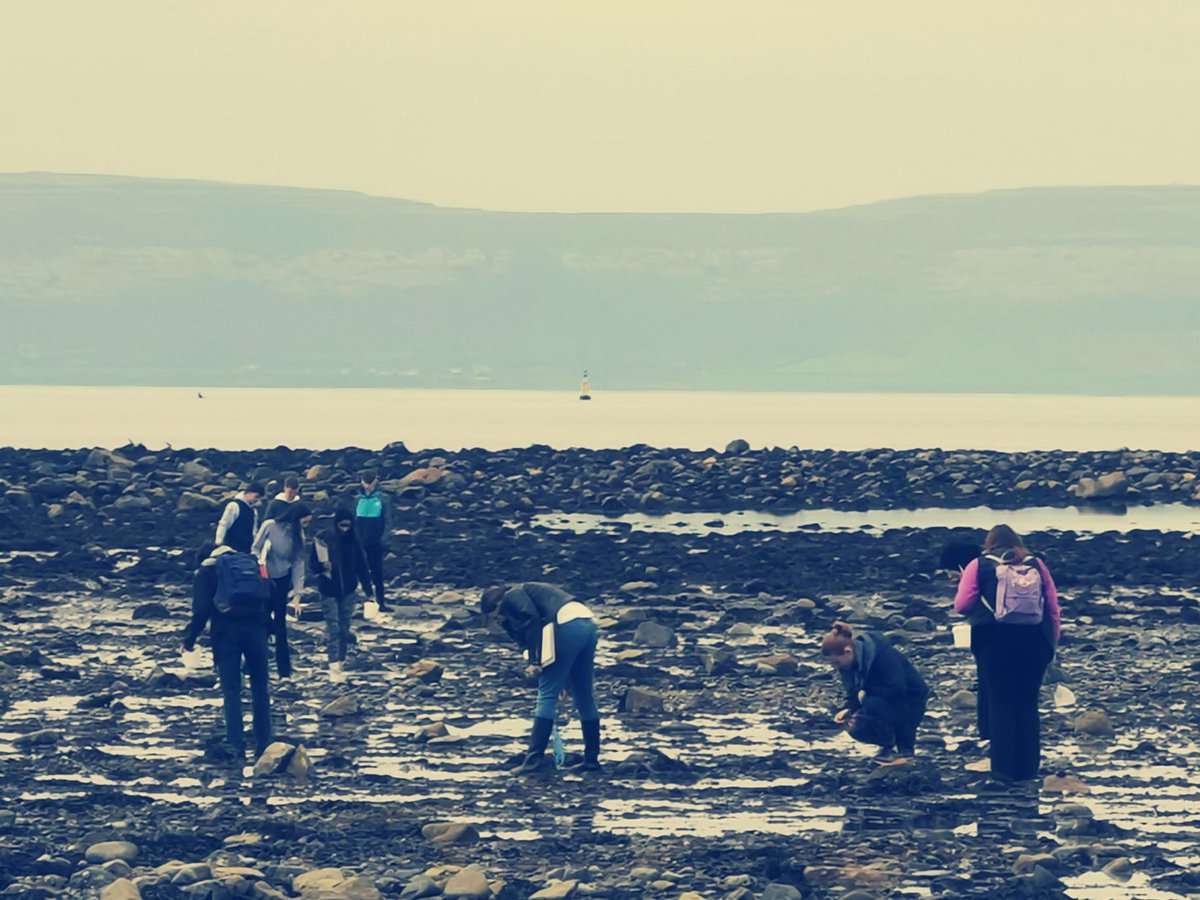 A lovely dry day in Salthill for the 5th year Biology students as they carried out their seashore habitat study. Delighted to see some butterfish, jellyfish, crabs and all the various types of seaweed. 🦀🐟🪸🪸🌊