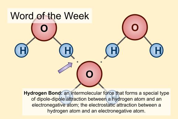 Word of the Week

Hydrogen Bond: an intermolecular force that forms a dipole-dipole interaction between a hydrogen atom and an electronegative atom; the electrostatic attraction between a hydrogen atom and an electronegative atom.

#wordoftheweek #sciencewords #hydrogenbonds