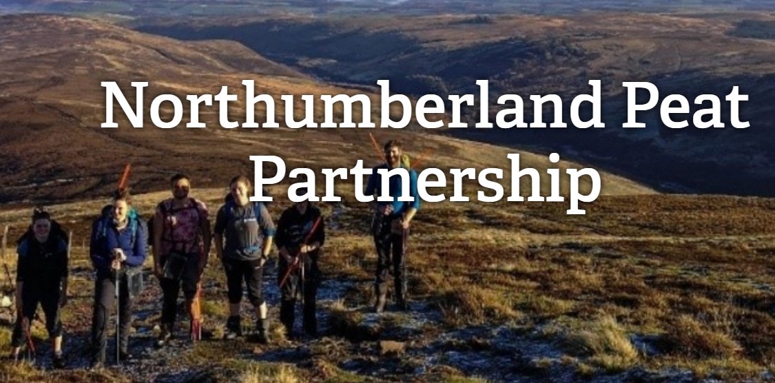 1/2 Our WaterLANDSUK @UniversityLeeds is running 2 workshops with Northumberland Peat Partnership for land managers to find out why uplands are so important & explore managing them. They will be on Sat 11 May & 18 May. Sign up by Wednesday bit.ly/3WOHTkT #peatlands